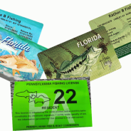 Get Your Fishing License Online: Convenience And Ease In A Few Clicks