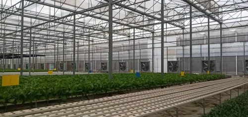 The Best Hydroponic Fans & Accessories For Indoor Growing